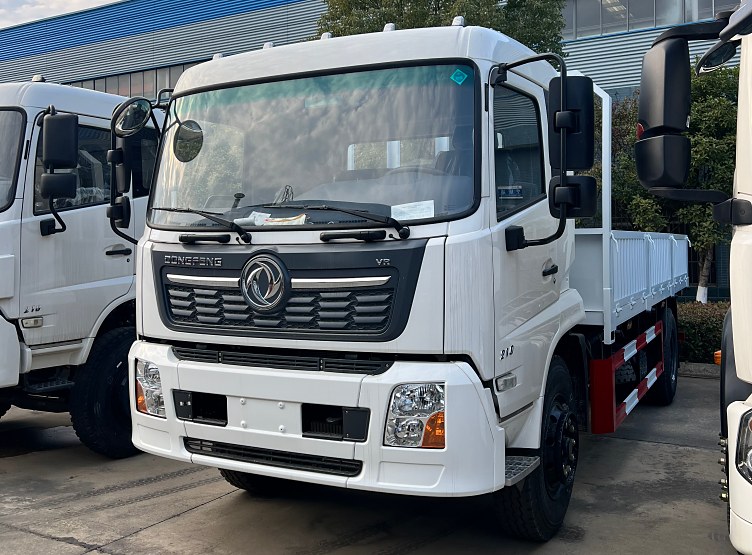 Cargo Trucks